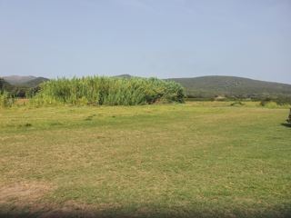 Macinaggio 