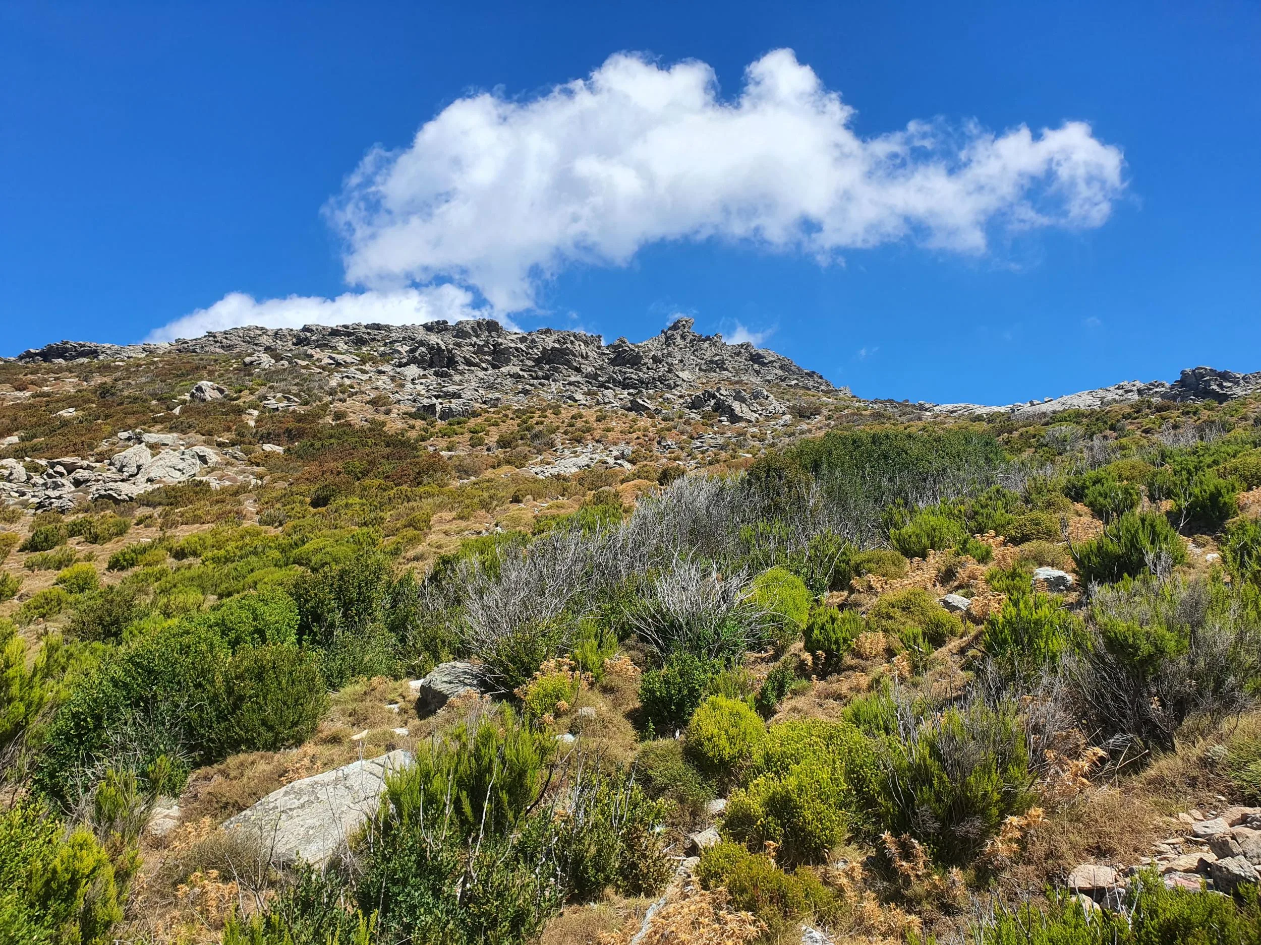 Photo du voyage
