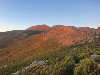Bivouac