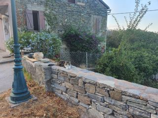 Repas à la fontaine