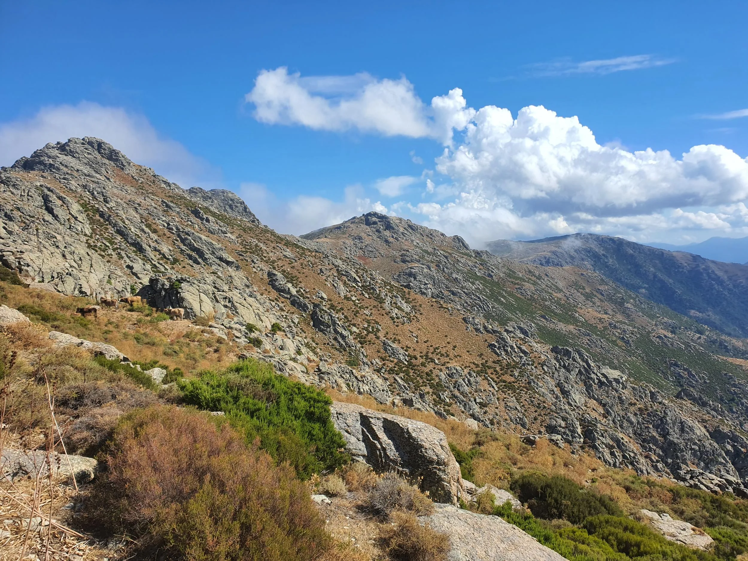 Photo du voyage