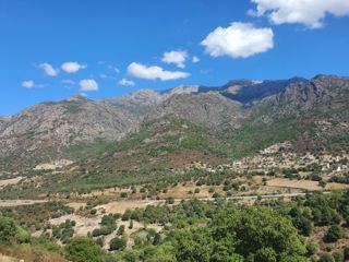 Pedano