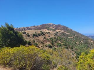 Pedano