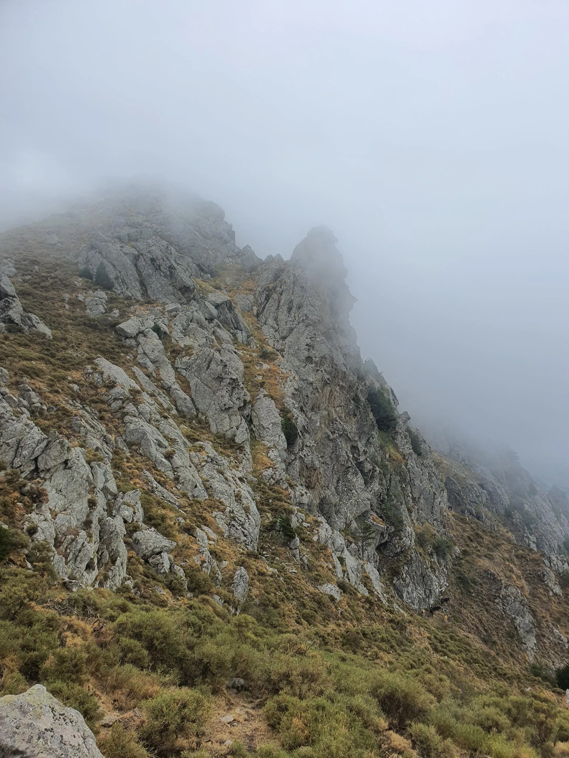 Photo du voyage