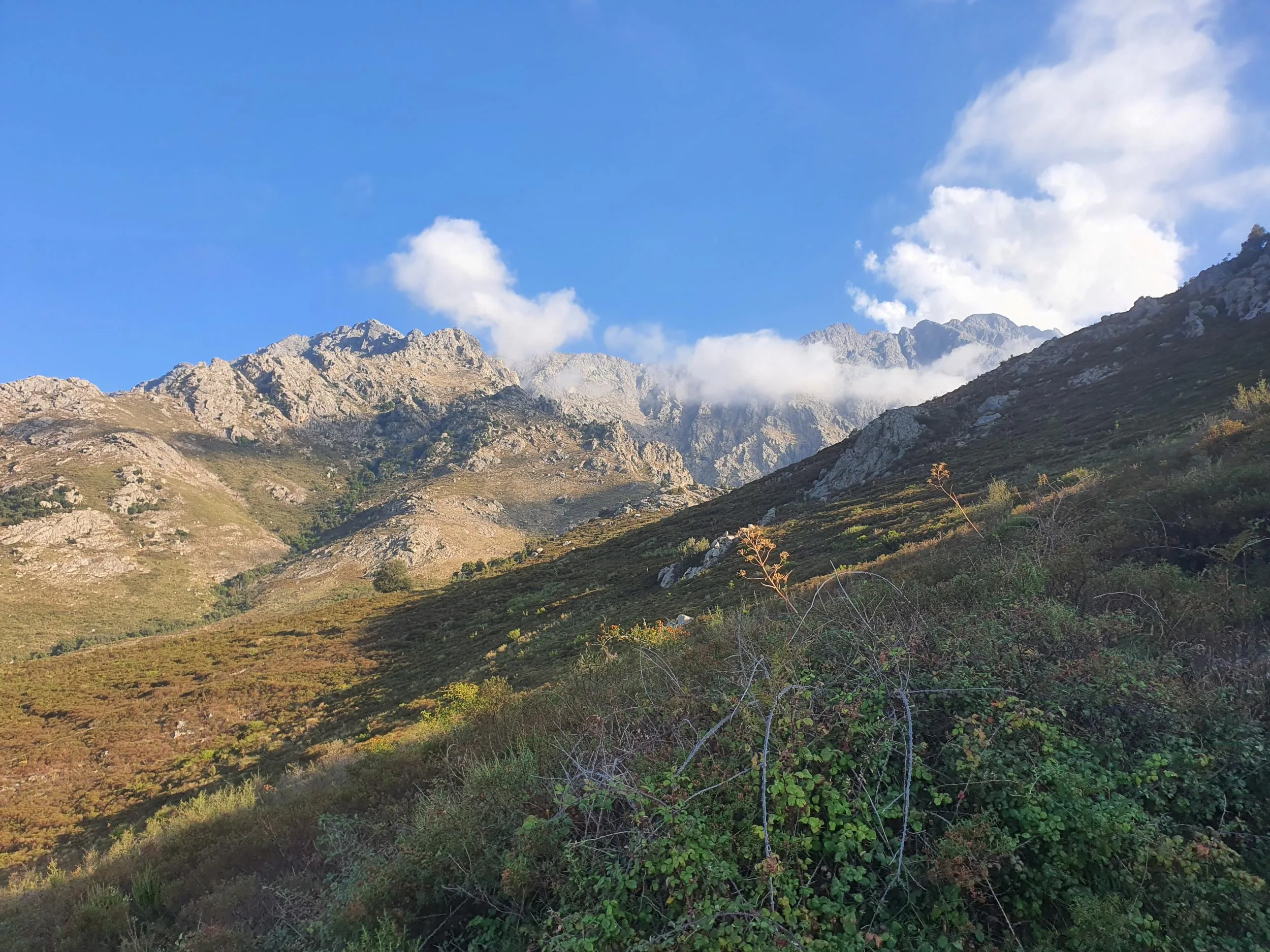 Monte Grosso