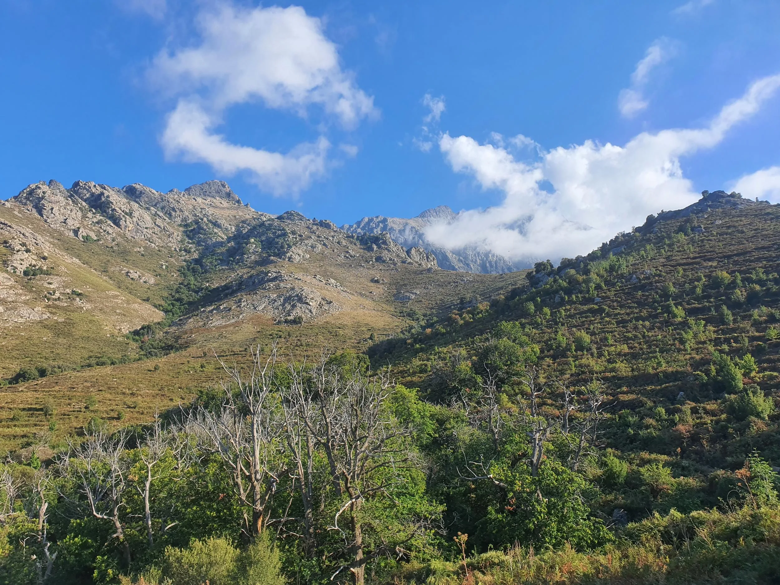Monte Grosso