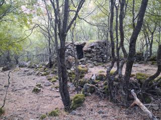 Montée dans les gorges