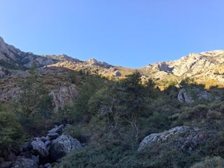 Cabane de chasseur
