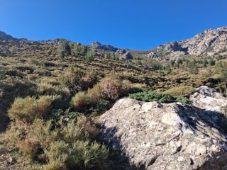 Vers le col
