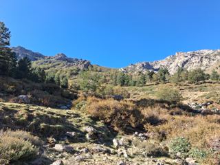Vers le col
