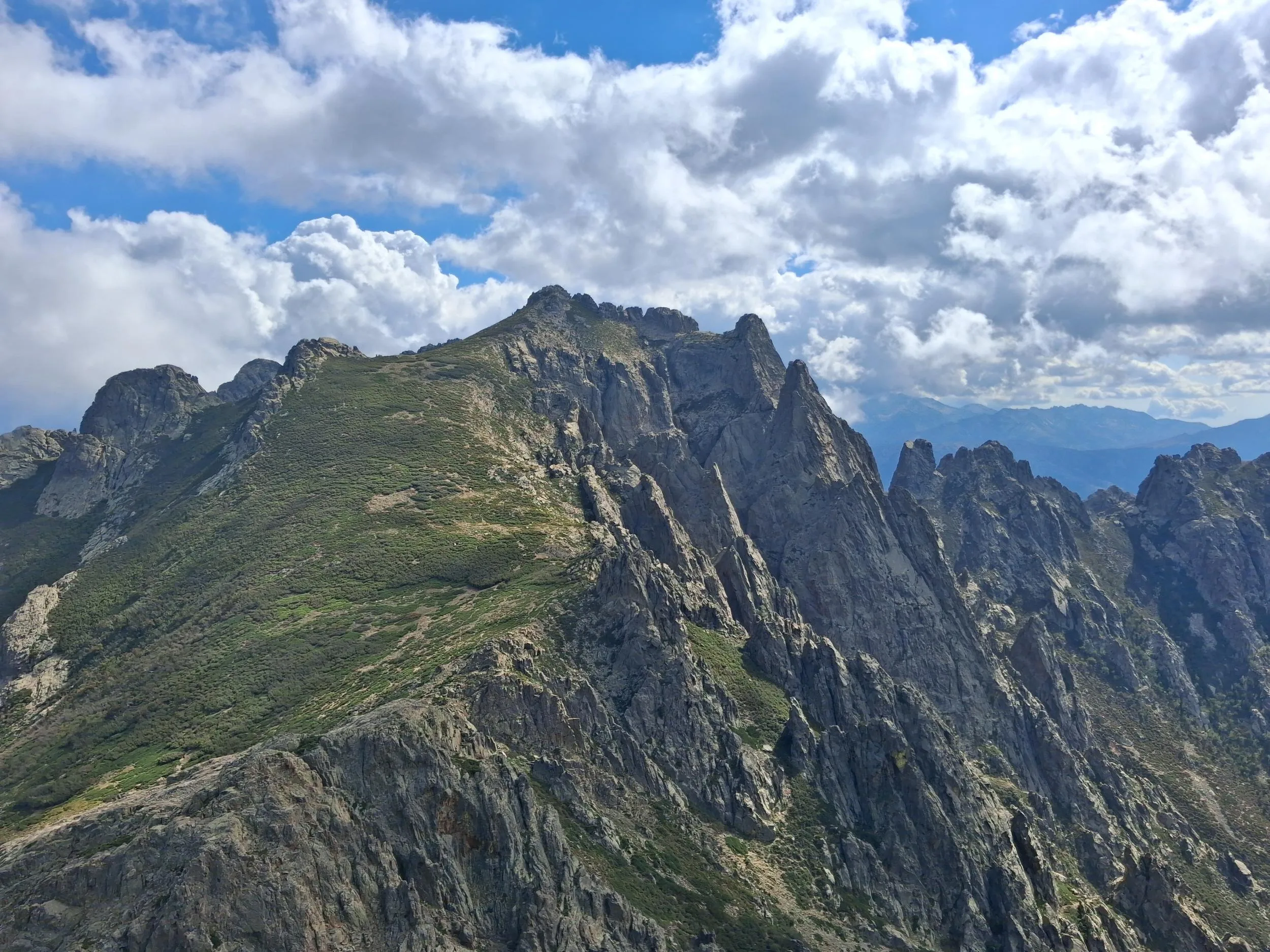 Vue de la dent
