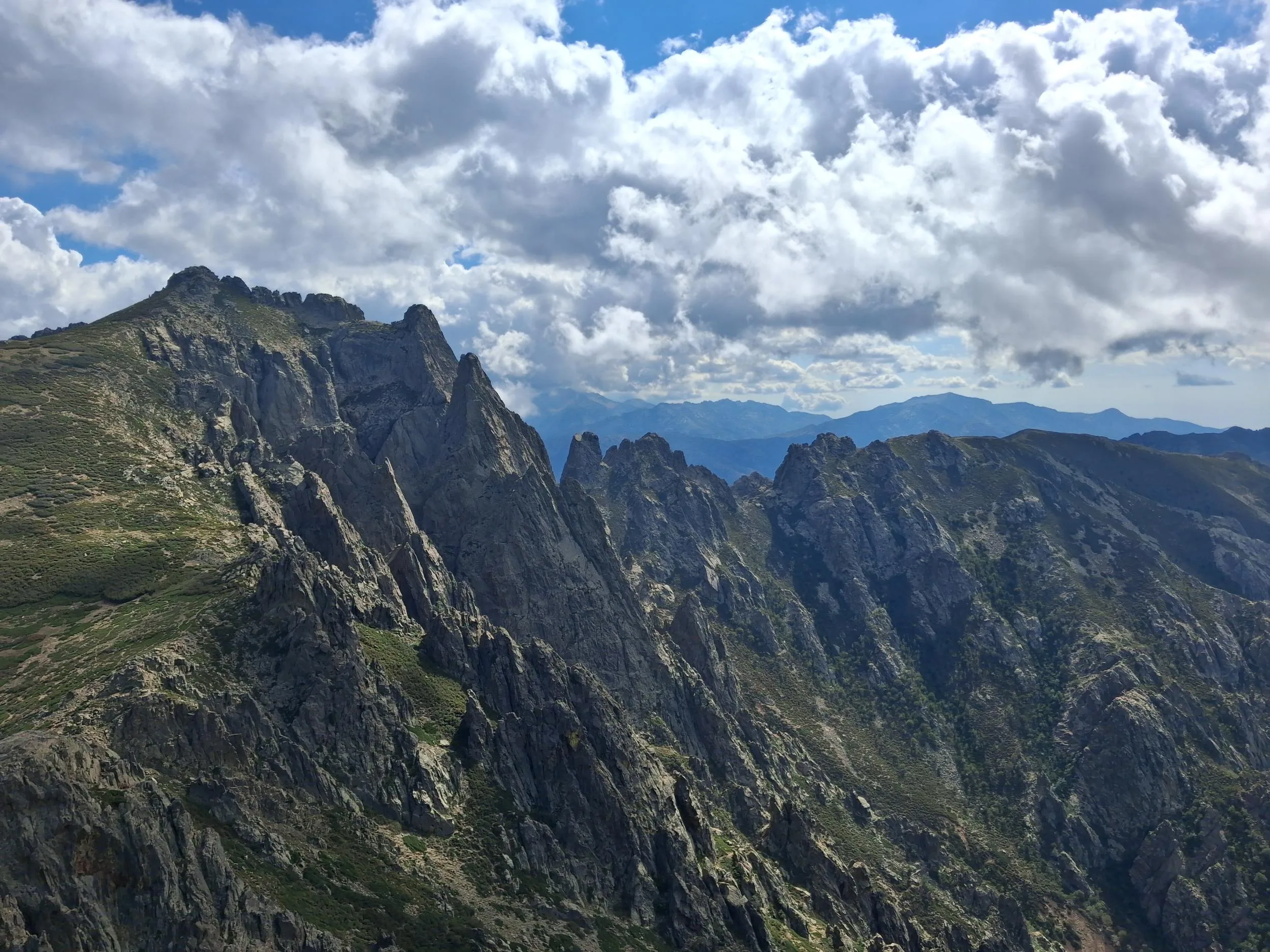 Vue de la dent