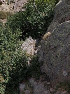 Vers la dent d'Asco