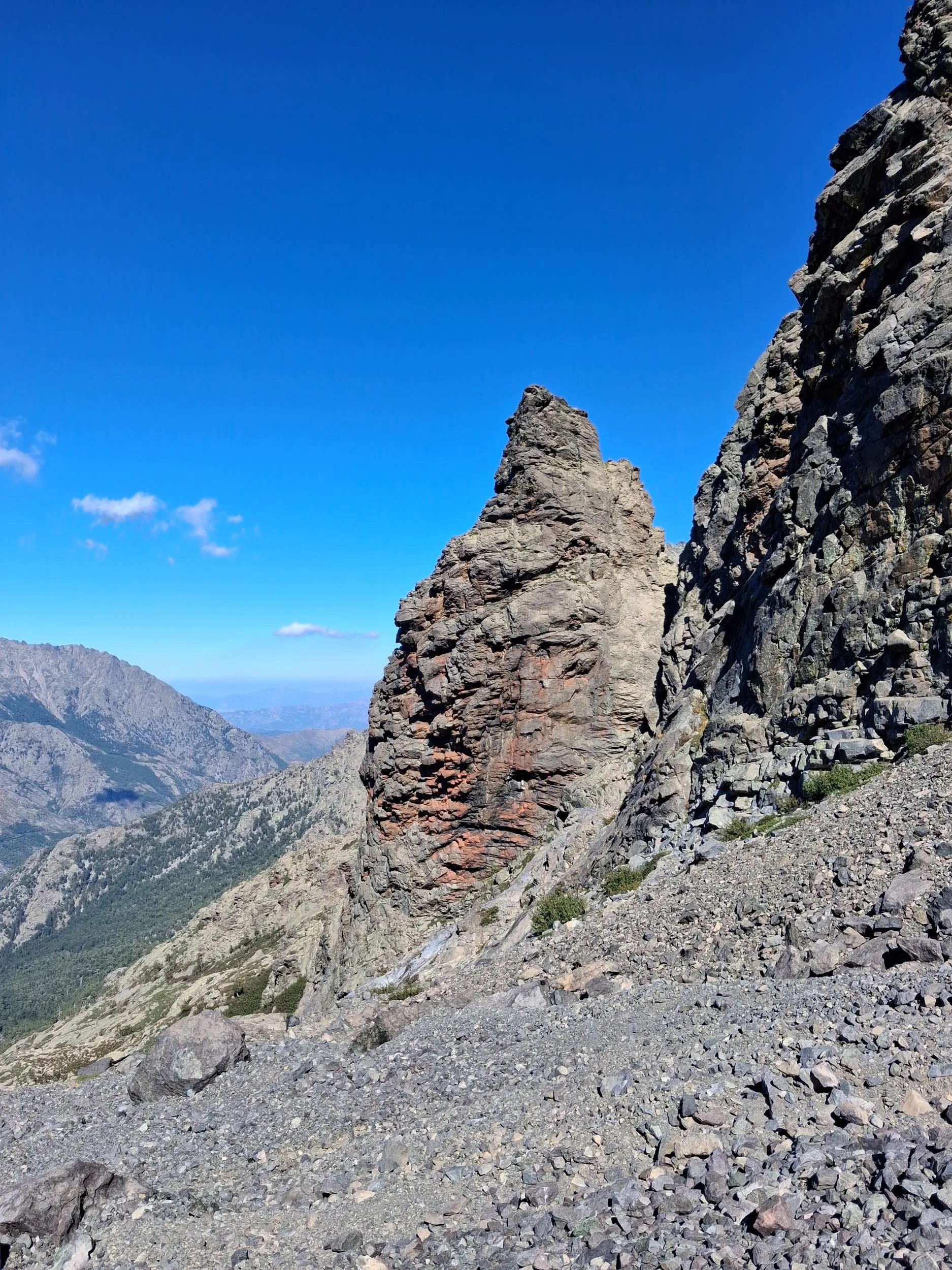 La torre Manica