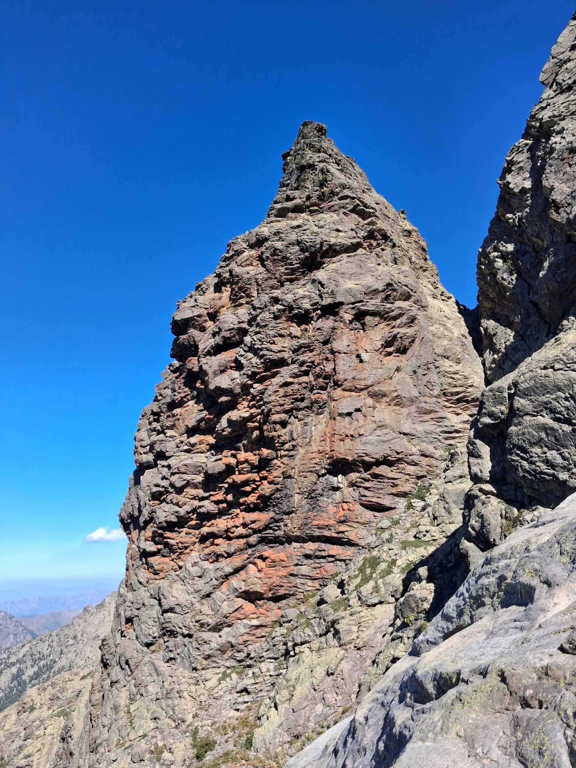 Torre Manica