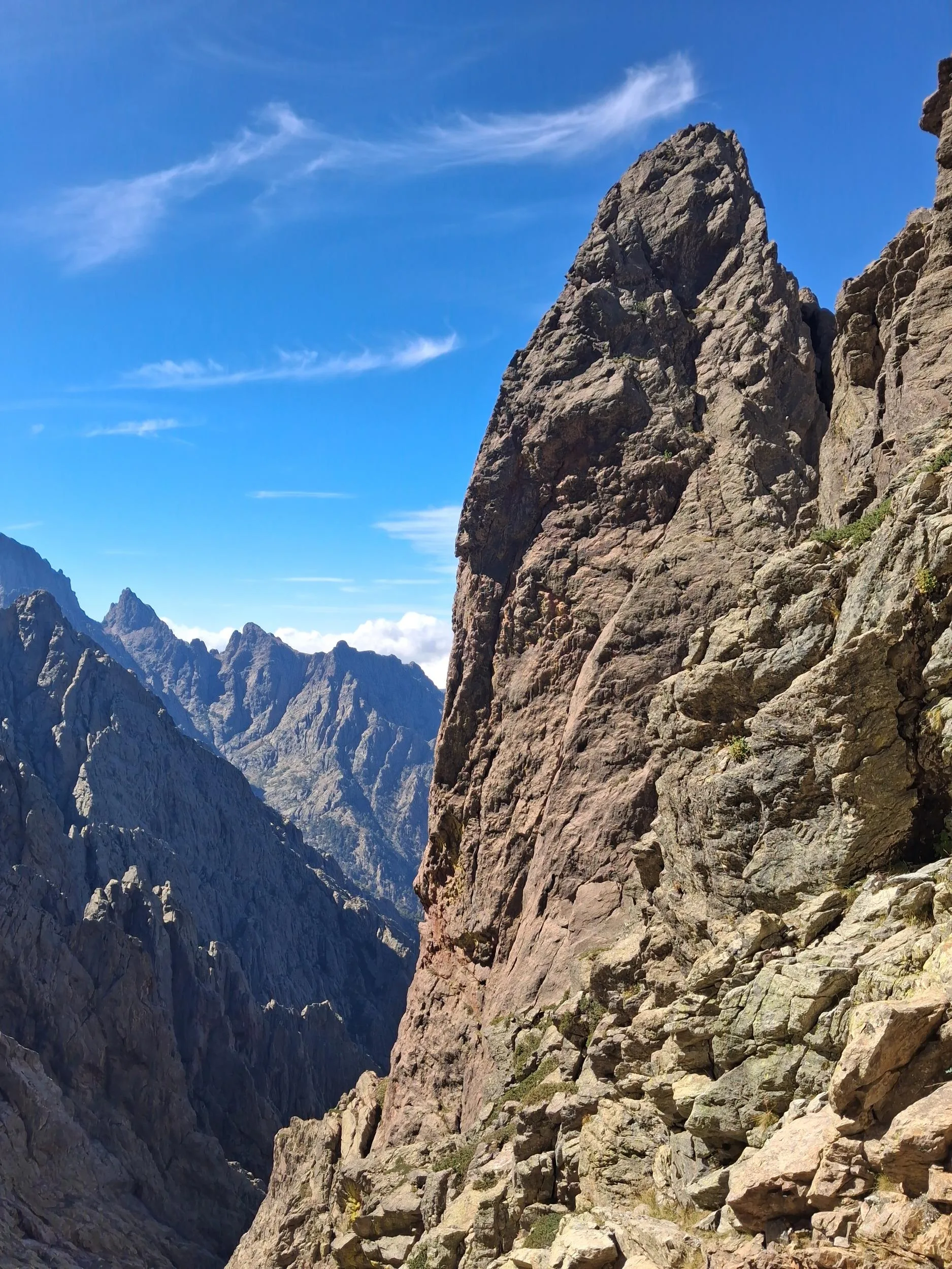Le Cirque de la Solitude 