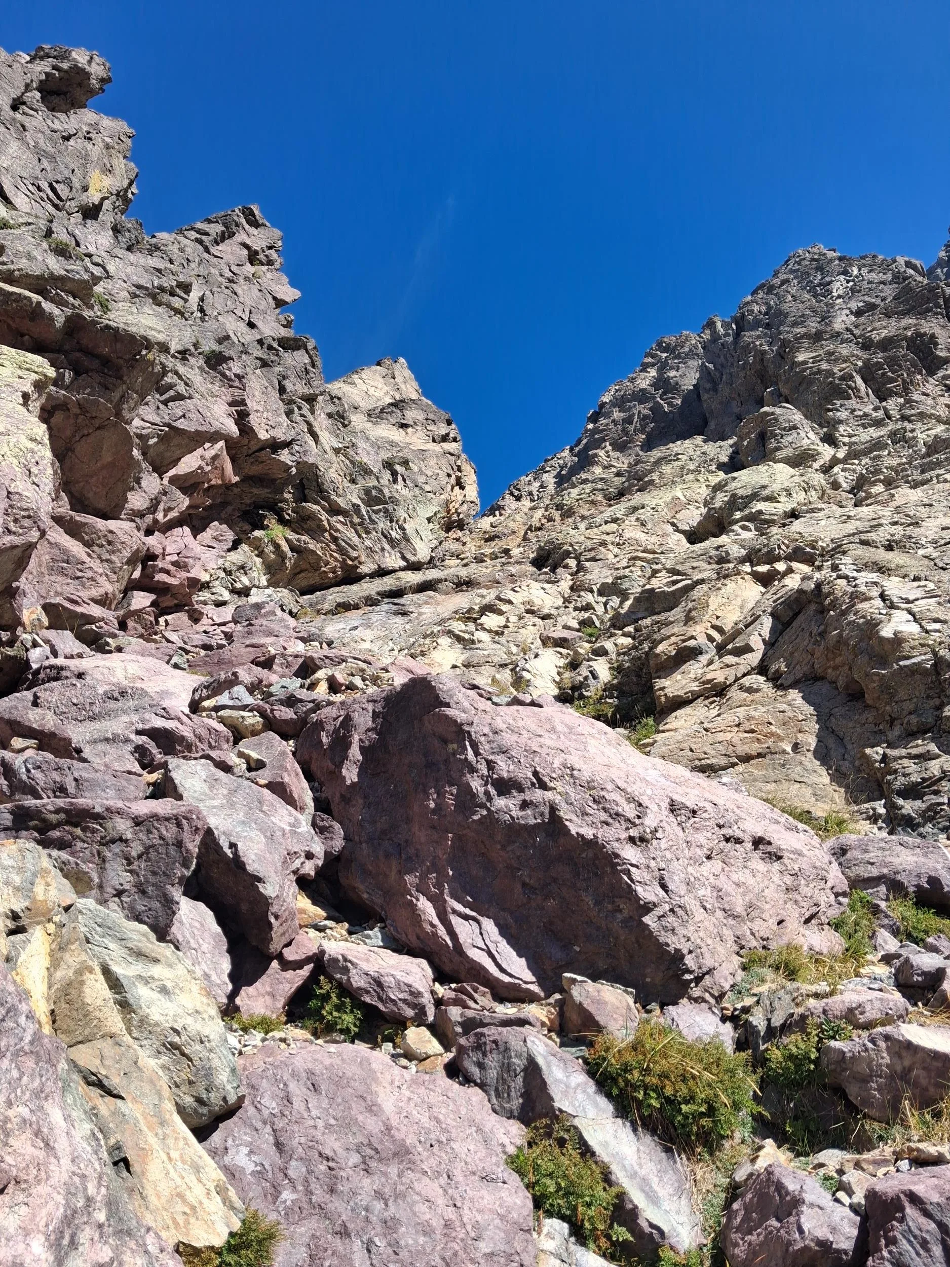 Le Cirque de la Solitude 