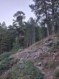 Vers le Monte Albanu