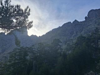 Retour à la Bergerie 