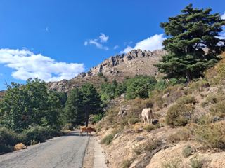 Vers le GR20