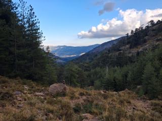 Vers le col Foggiale