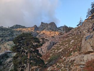 Bergerie Radule