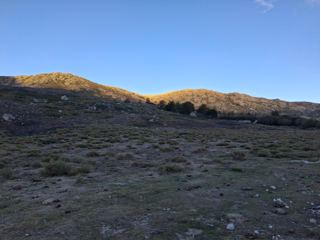 Campotile