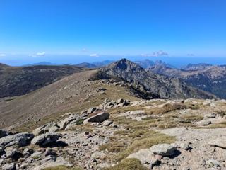 Punta Artica