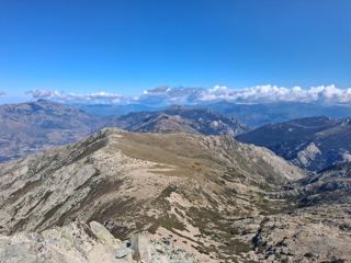 Punta Artica