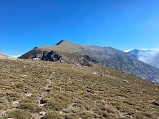 Punta Artica