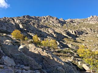 Descente aux bergeries