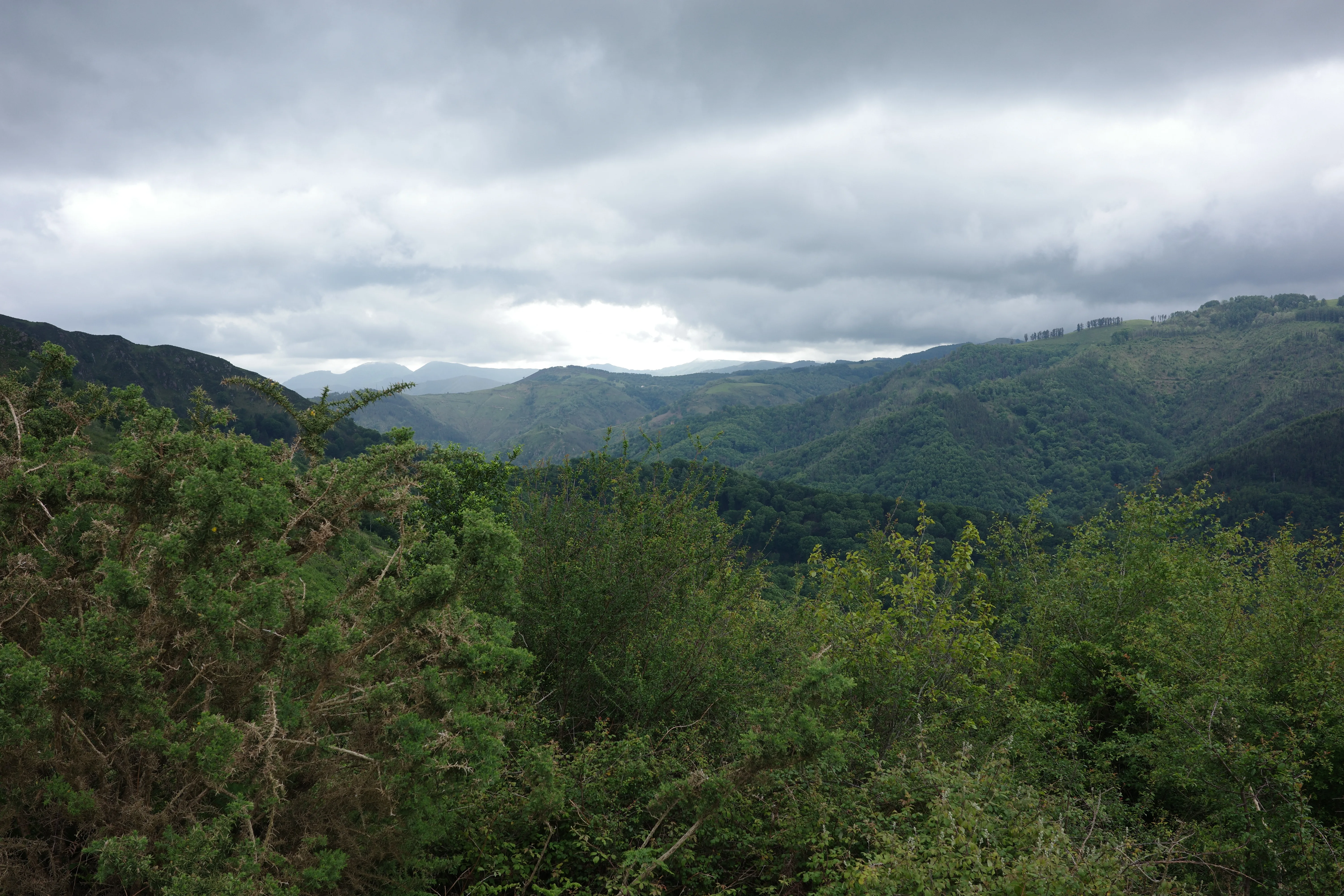 Vallée de la Bidasoa